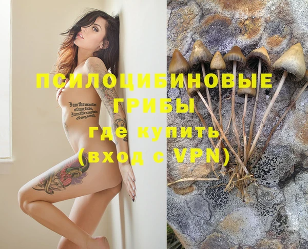амф Абдулино