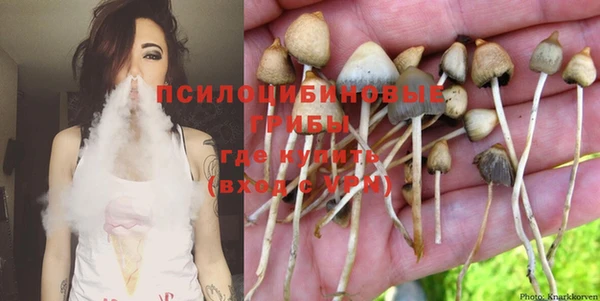 ешки Абаза