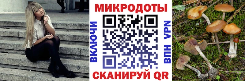 Галлюциногенные грибы GOLDEN TEACHER купить закладку darknet какой сайт Южноуральск